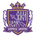 Sanfrecce Hiroshima-120x120