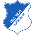 TSG Hoffenheim-120x120