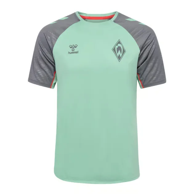 Men's Werder Bremen 2024/25 Third Authentic Training Shirt