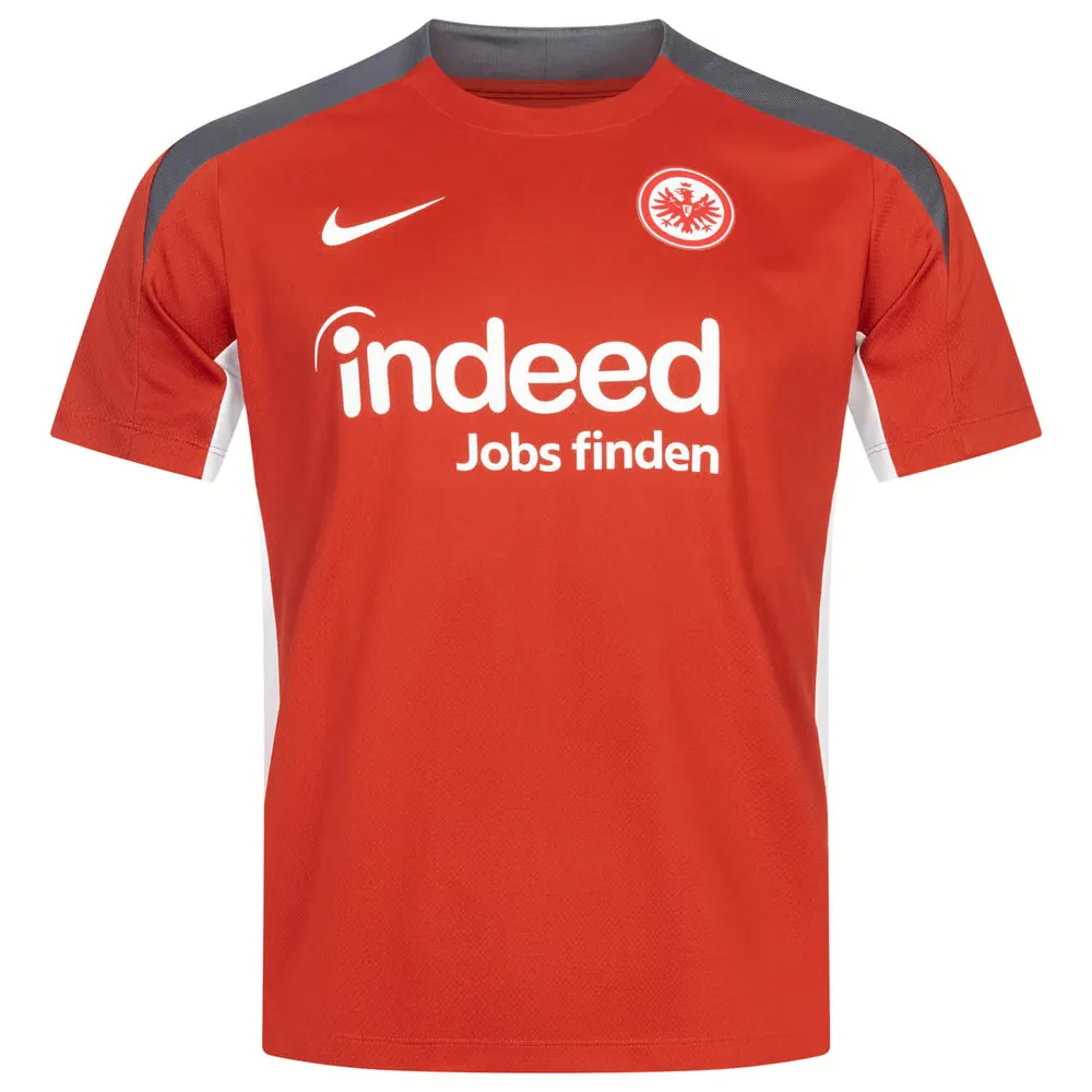 Men's Eintracht Frankfurt 2024 Third Authentic Training Europe Shirt
