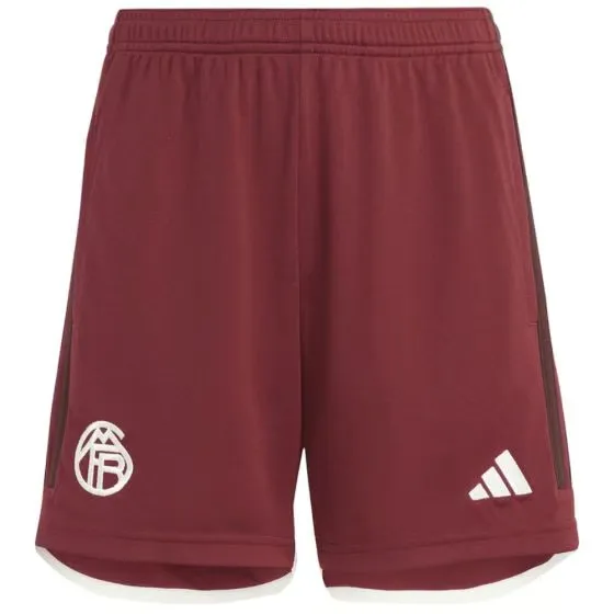 Men's Bayern Munich 2023/24 Third Shorts