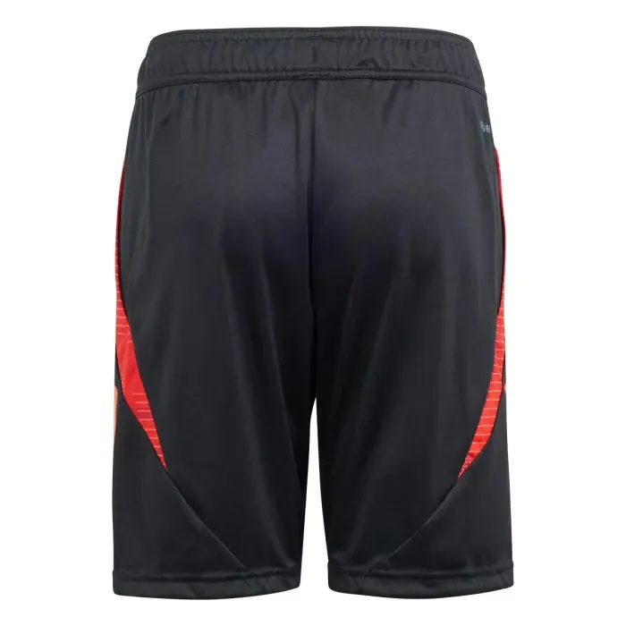 Men's Standard Liege 2024/25 Third Authentic Training Shorts - Image 2