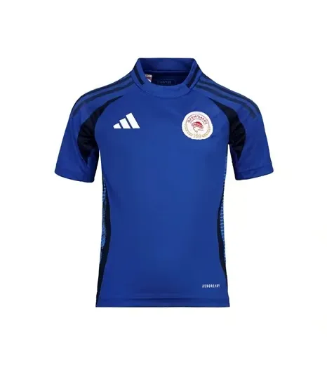 Kid's Olympiacos FC 2024/25 Third Shirt