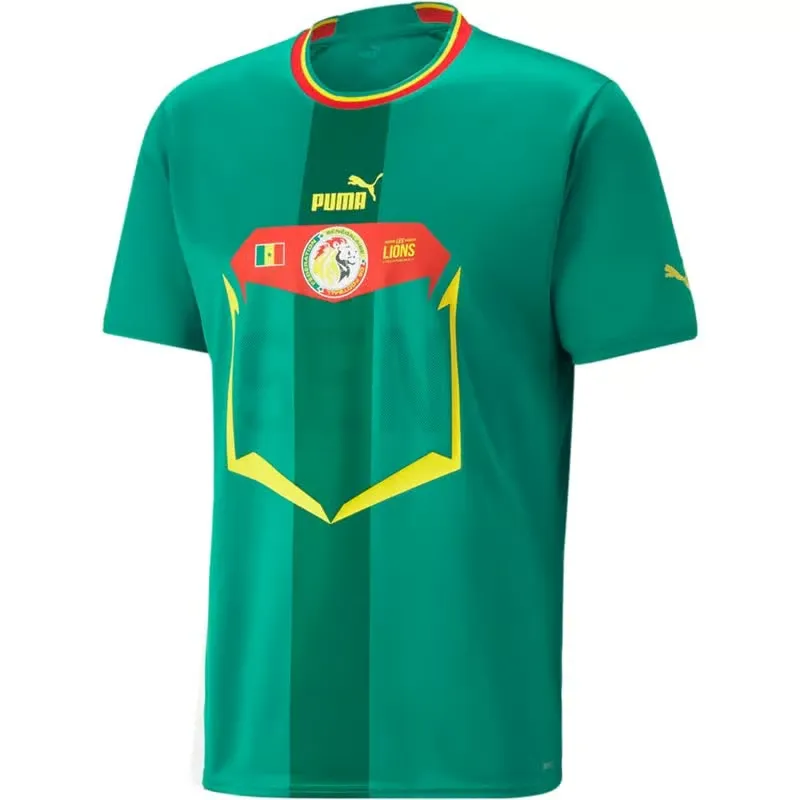 Senegal Away Jersey World Cup 2022
