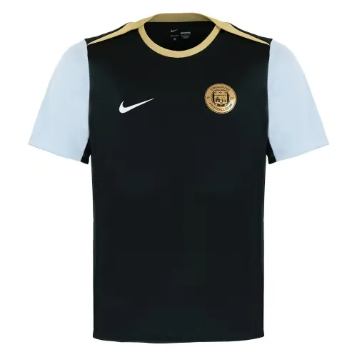 Men's Toulouse FC 2024/25 Third Authentic Training Shirt