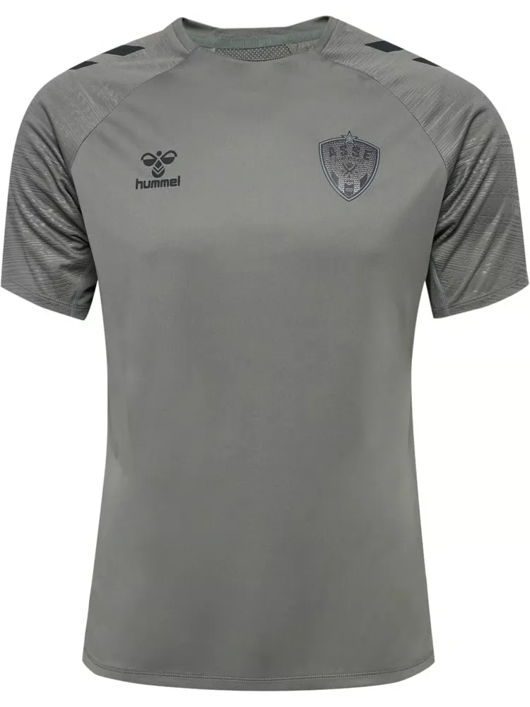 Men's ASSE 2024/25 Third Authentic Training Shirt - Grey
