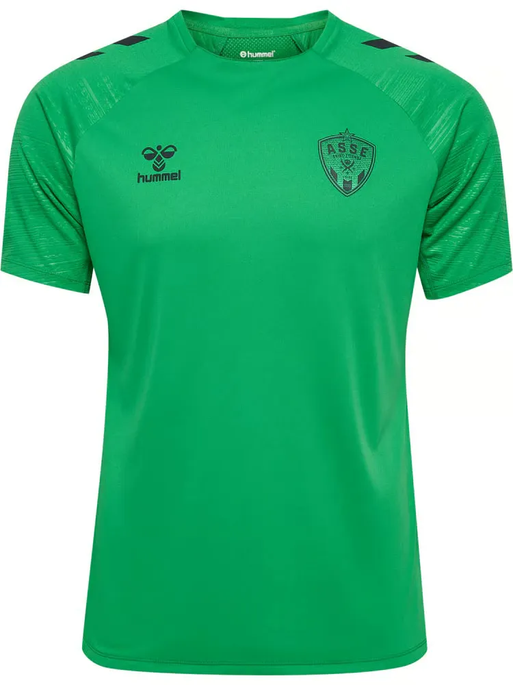Men's ASSE 2024/25 Third Authentic Training Shirt - Green