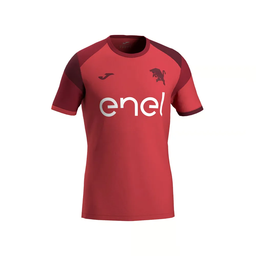 Men's Torino 2024/25 Third Authentic Training Shirt