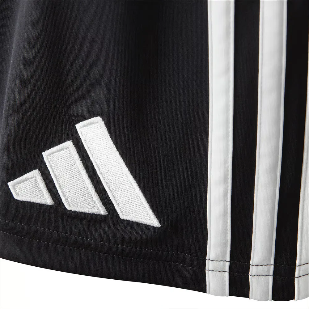 2565574_BF9C0914-FE79-3F7F-1B22-701C16FFBDD8