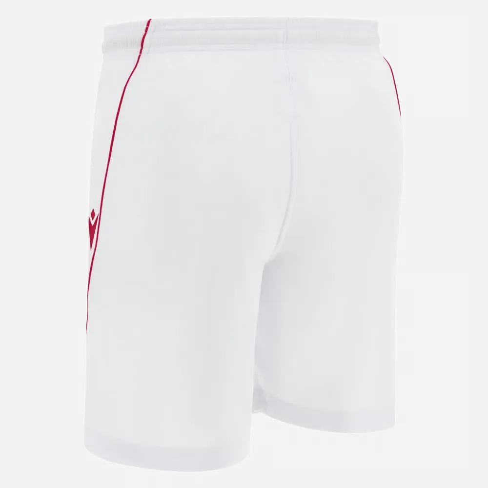 2565601_8139A7D1-BF14-079C-B3A2-16419EDC46F4