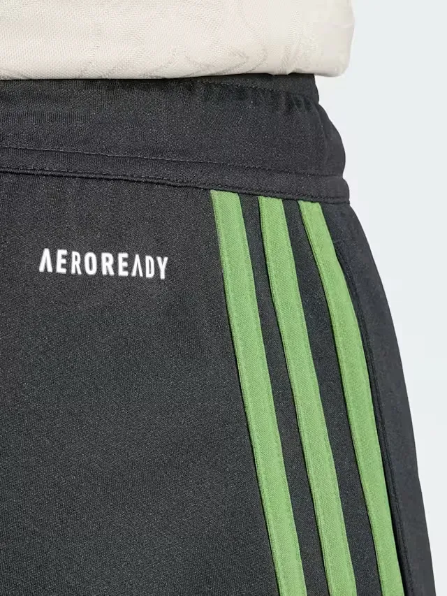 2565614_73E8B549-77A7-73ED-FDB2-86CDAEAD671B