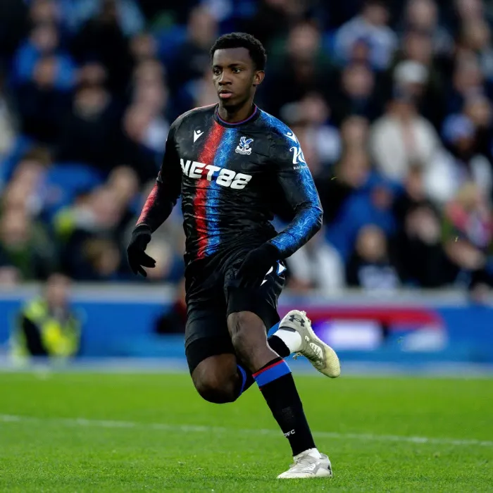 Men's Crystal Palace 2024/25 Third Authentic Long Sleeve Shirt