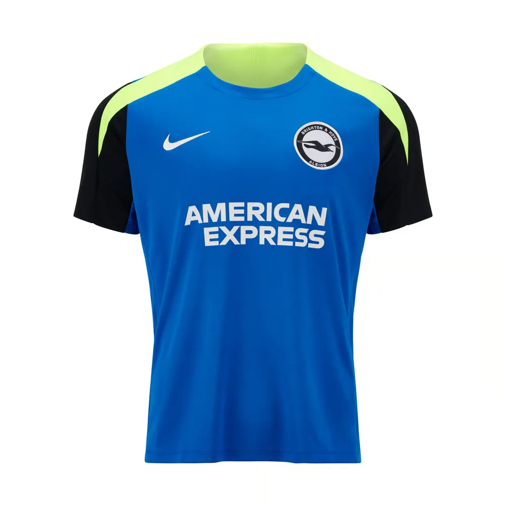 Men's Brighton & Hove Albion 2024/25 Third Authentic Training Shirt