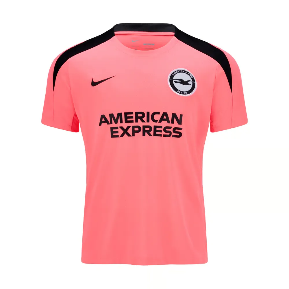 Men's Brighton & Hove Albion 2024/25 Third Authentic Pre-Season Training Shirt