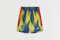 Men's Arsenal 2025/26 Urban Purist Shorts