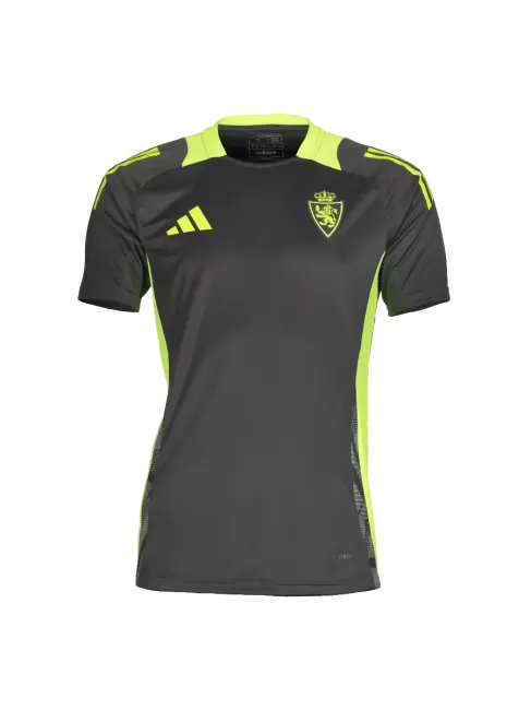 Men's Real Zaragoza 2024/25 Third Authentic Training Shirt - Gray