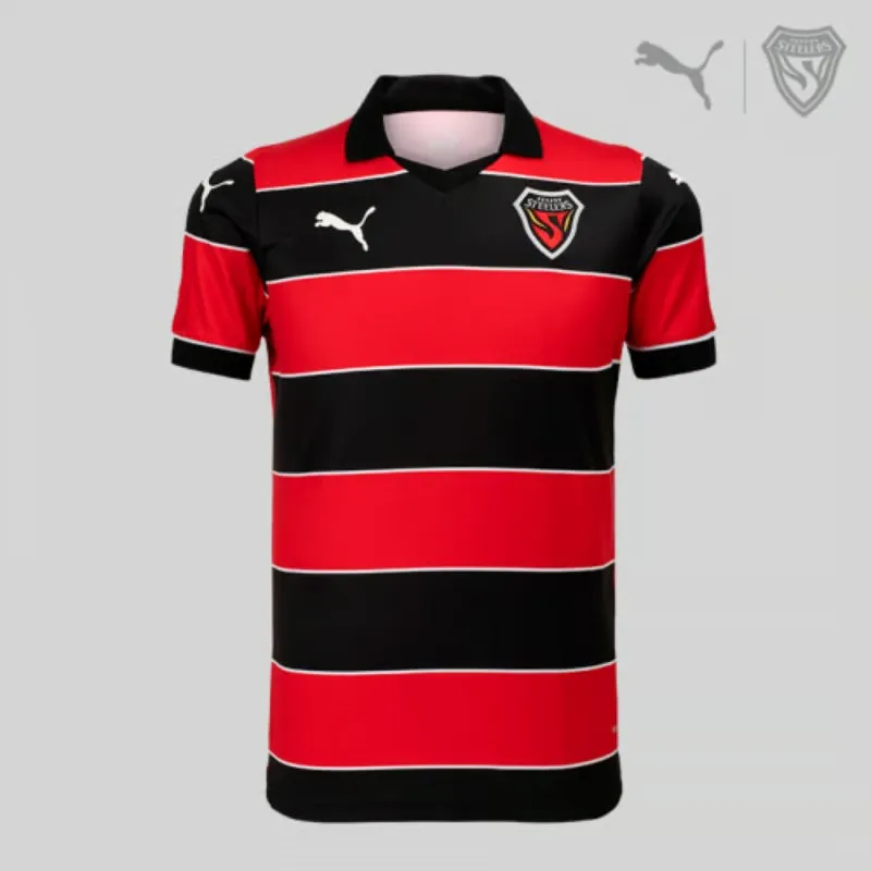 Men's Pohang Steelers 2024/25 Home ACL Shirt