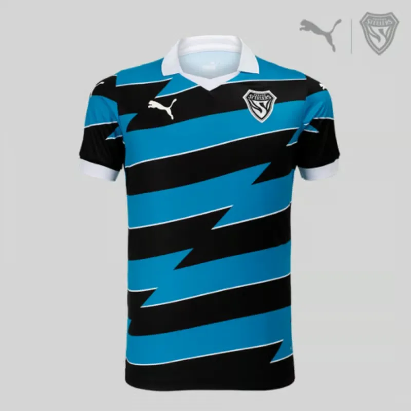 Men's Pohang Steelers 2024/25 Away ACL Shirt