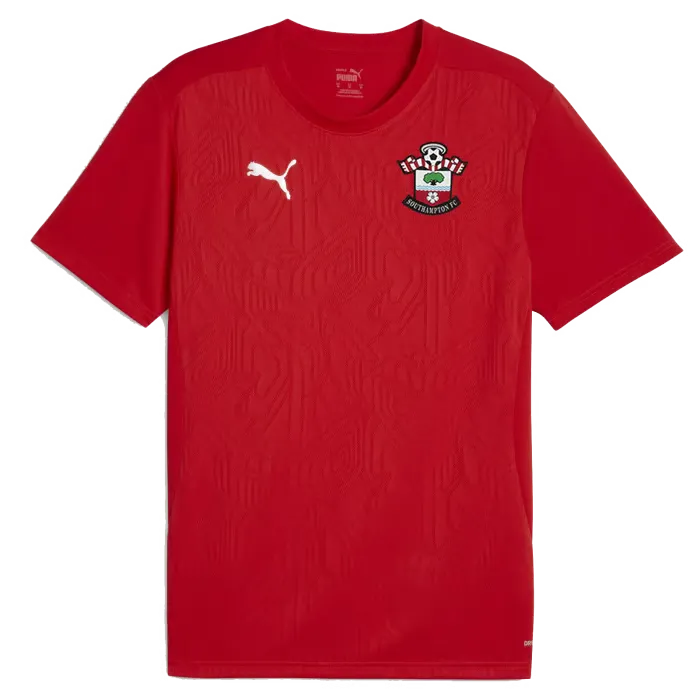 Men's Southampton 2024/25 Third Authentic Training Shirt