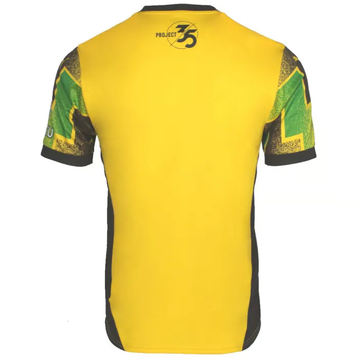 Men's Plymouth Argyle 2024/25 Third Shirt - Image 2