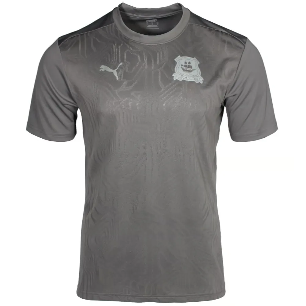 Men's Plymouth Argyle 2024/25 Third Authentic Training Shirt - Grey