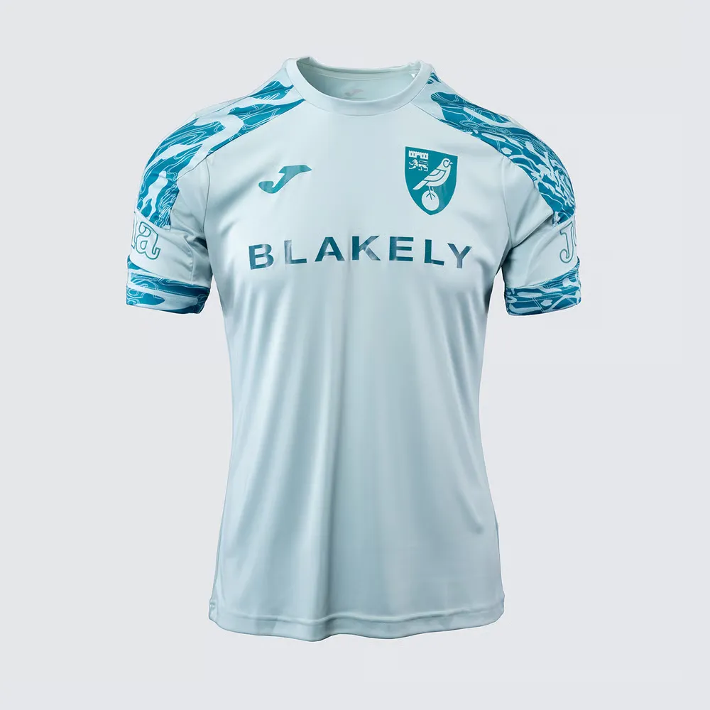 Men's Norwich City 2024/25 Third Authentic Training Player Shirt