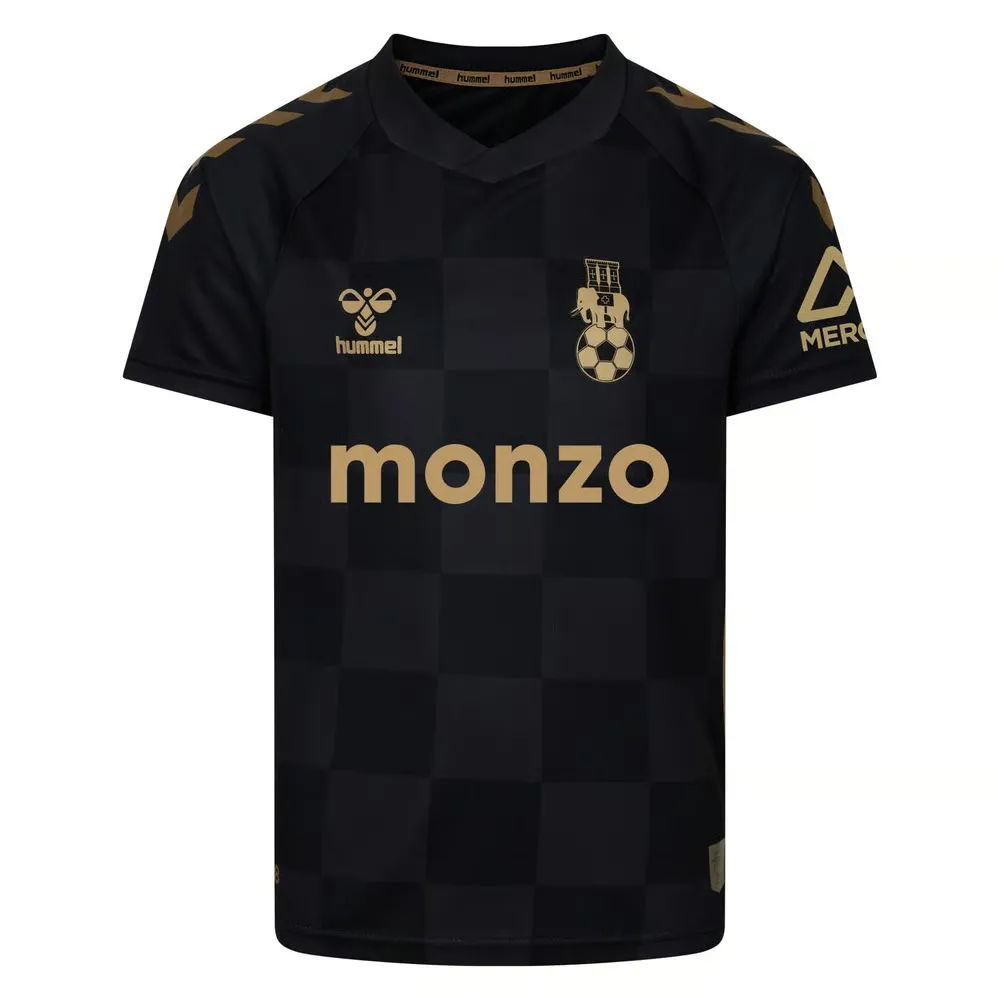 Men's Coventry City 2024/25 Third Shirt