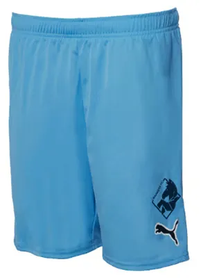 Women's Randers FC 2024/25 Home Shorts