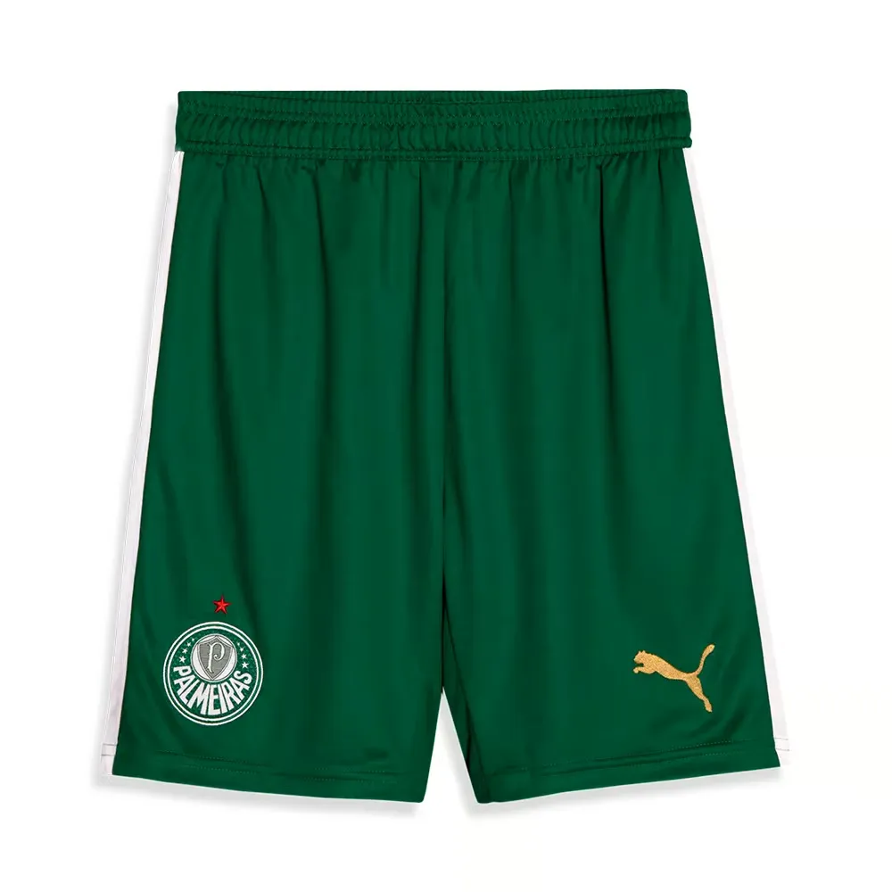Women's Palmeiras 2024 Away Shorts