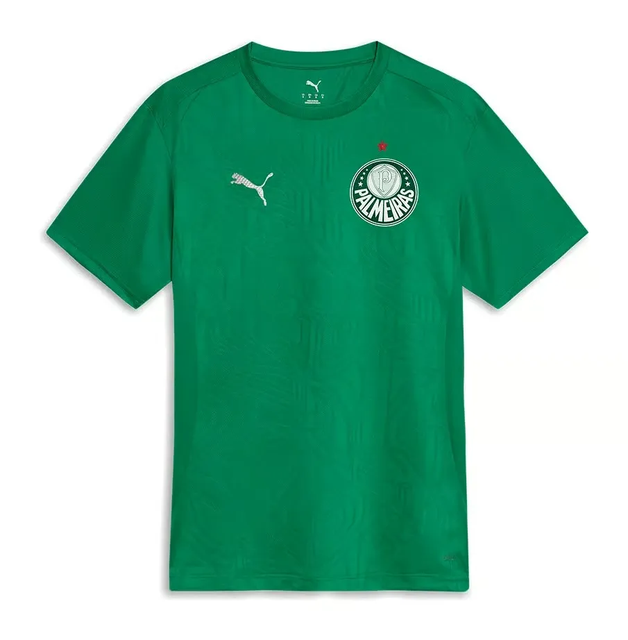 Men's Palmeiras 2025 Third Authentic Training Shirt