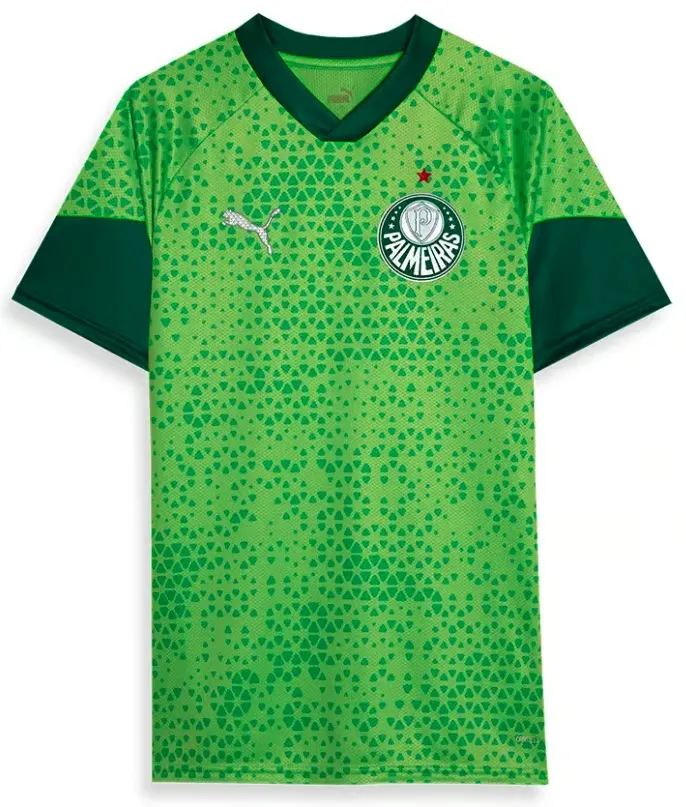Men's Palmeiras 2024 Third Authentic Training Shirt